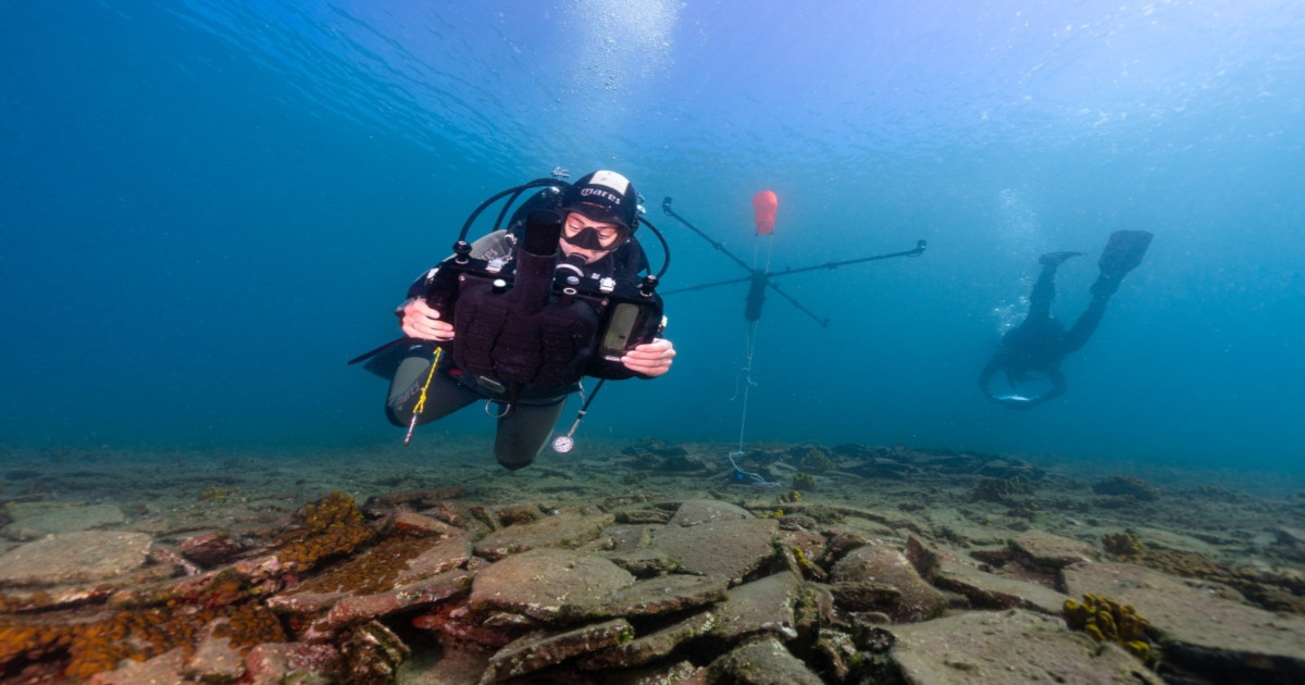 Graphical abstract - Fabio Bruno